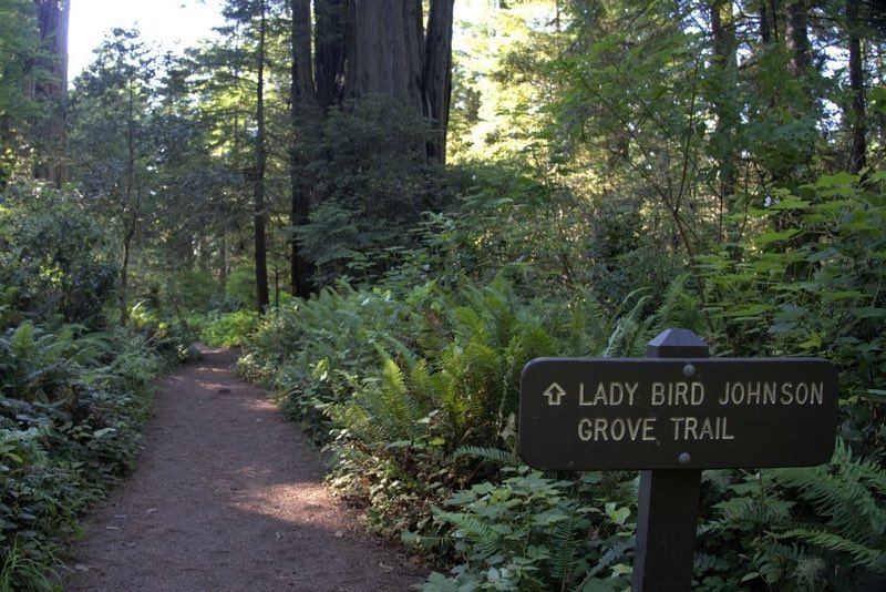Lady Bird Johnson Grove Trail